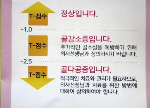 T-점수에 따라 정상, 골감소증, 골다공증 진단을 내린다.