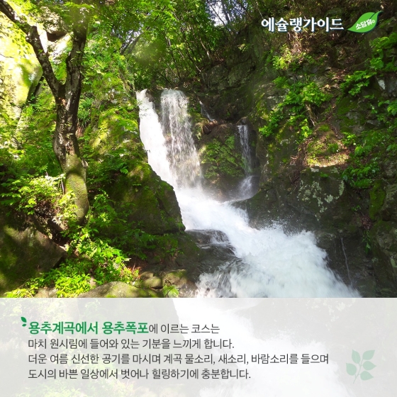 “올 여름방학은 자연과 함께”… ⑥ 무등산 용추폭포