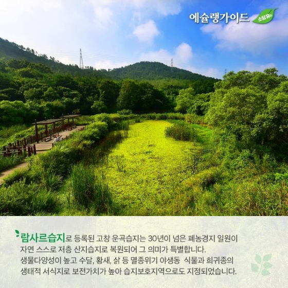 “올 여름방학은 자연과 함께”… ⑨ 고창 운곡습지