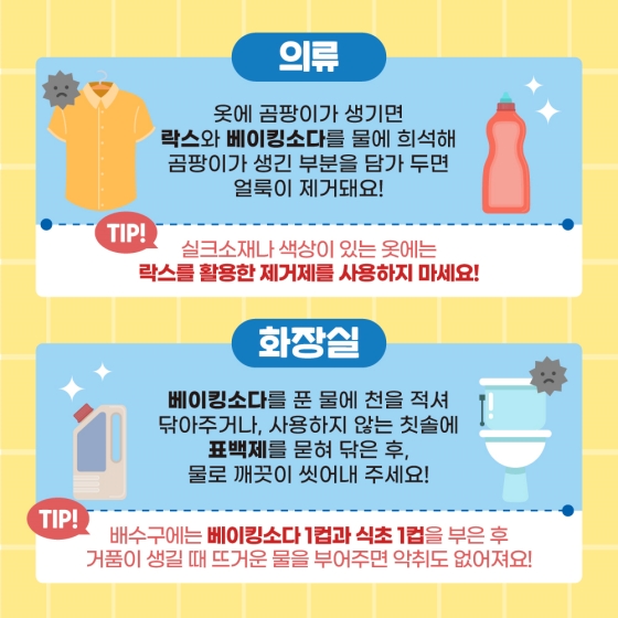 곰팡이와의 전쟁을 선포한다! (곰팡이 제거 꿀 팁)