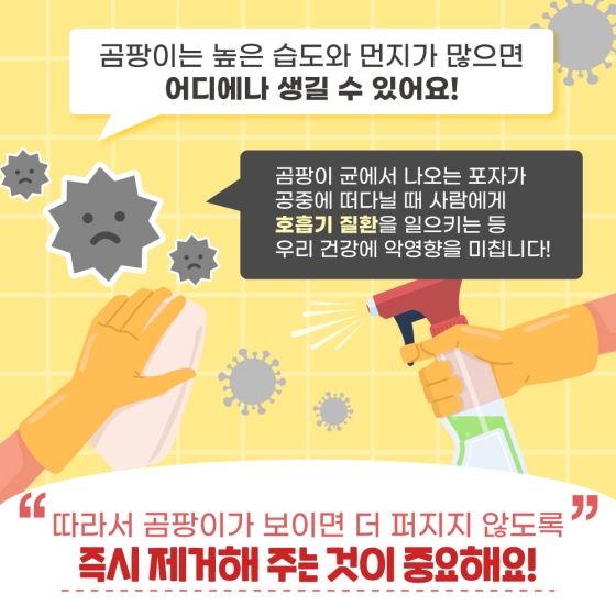 곰팡이와의 전쟁을 선포한다! (곰팡이 제거 꿀 팁)