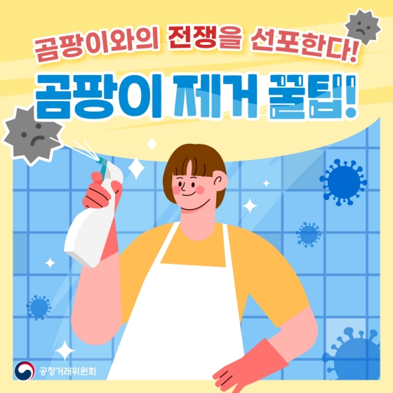 곰팡이와의 전쟁을 선포한다! (곰팡이 제거 꿀 팁)