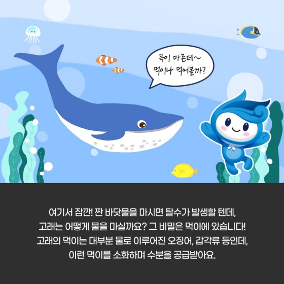 우리가 잘못 알고 있었던 고래?