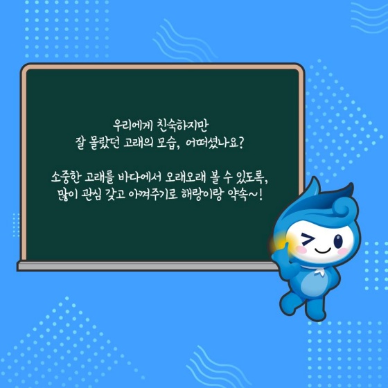 우리가 잘못 알고 있었던 고래?