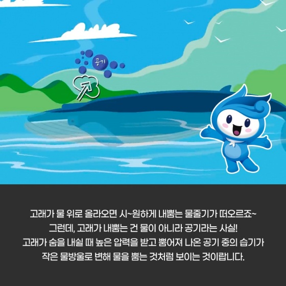 우리가 잘못 알고 있었던 고래?