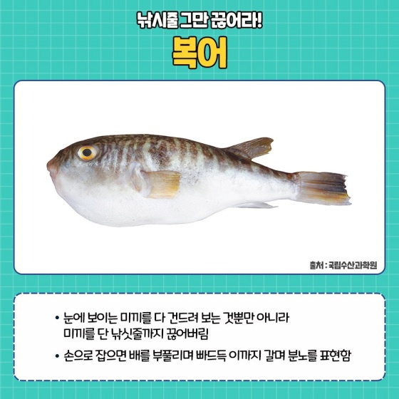 낚시꾼들이 싫어하는 비호감 물고기 5