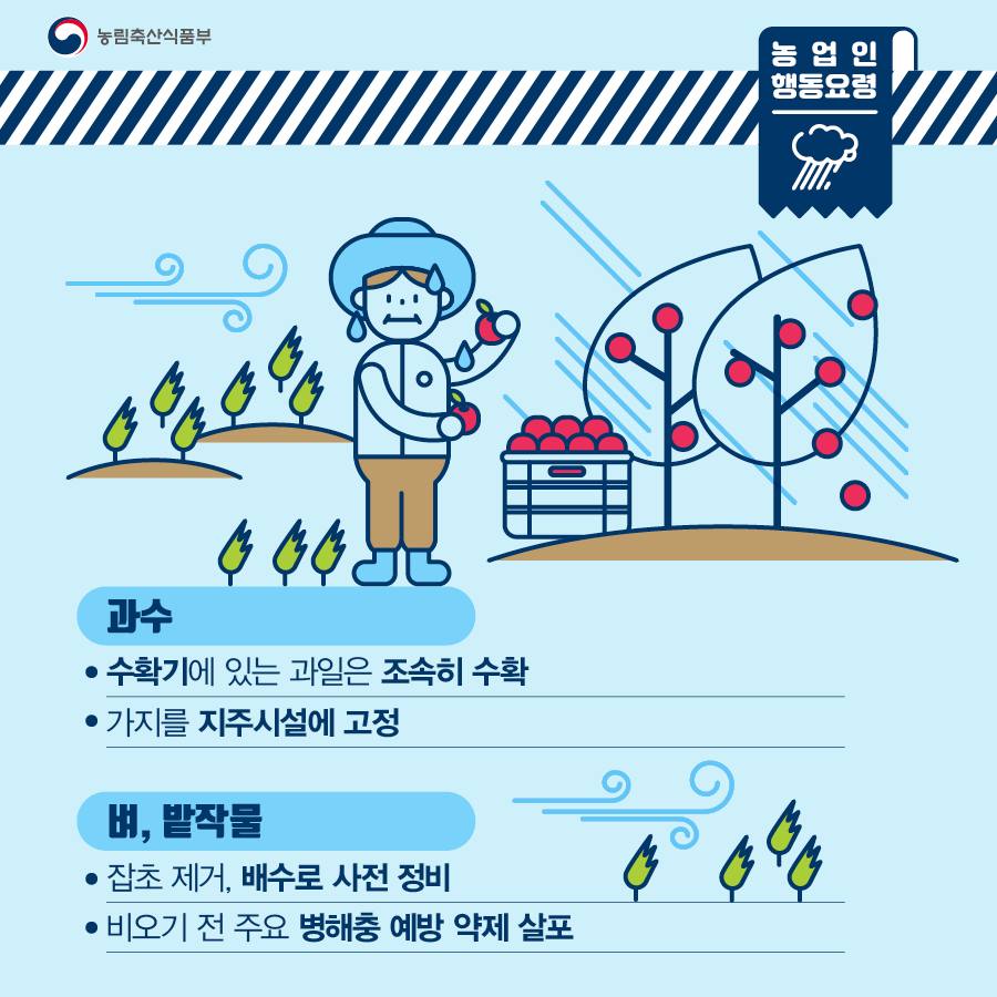 집중호우 및 태풍 사전대비