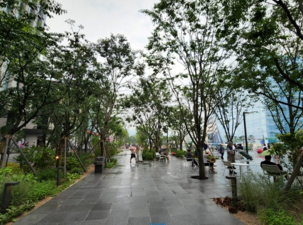광화문광장에 조성된 녹지 공간 중 하나인 ‘광장숲’의 모습.