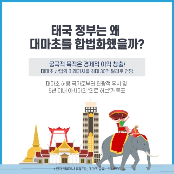 대마초 주의보? 태국 여행할 때, 조심하세요!