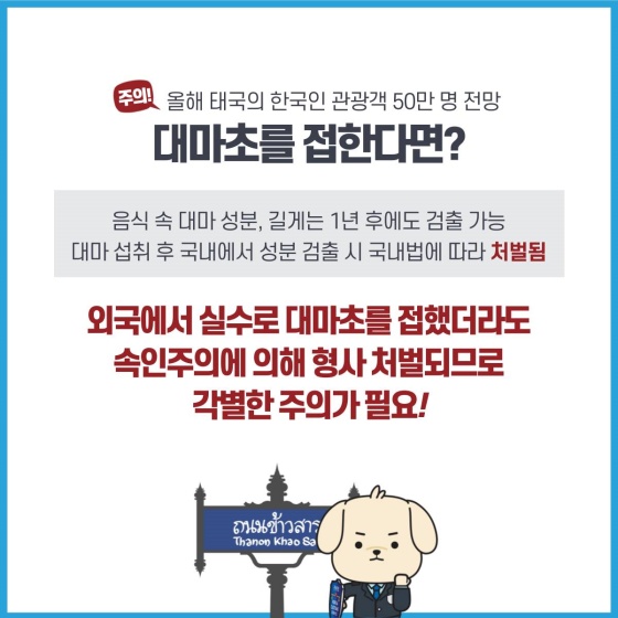 대마초 주의보? 태국 여행할 때, 조심하세요!