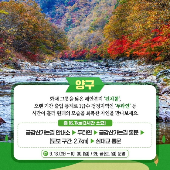 디엠지(DMZ) 평화의 길 11개 노선 전면 개방! 비무장지대로의 평화여행 어떠세요?