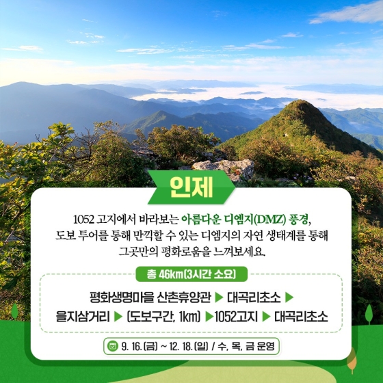 디엠지(DMZ) 평화의 길 11개 노선 전면 개방! 비무장지대로의 평화여행 어떠세요?