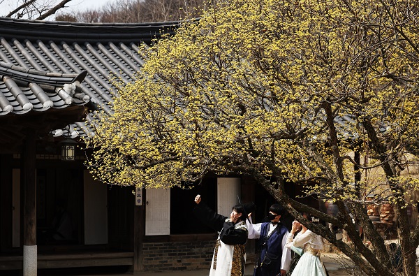 2015년 ‘열린관광지’로 선정된 한국민속촌을 찾은 시민들. (사진=저작권자(c) 연합뉴스, 무단 전재-재배포 금지)