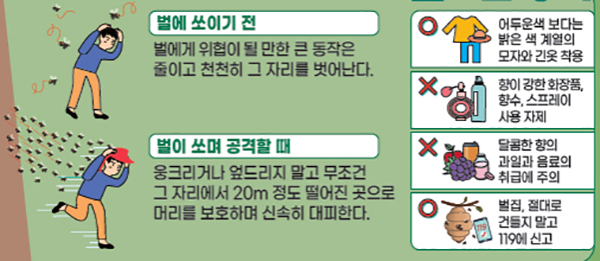 벌쏘임 주의사항. (자세한 내용은 본문에 설명 있음)