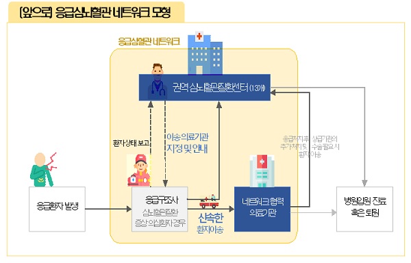 응급심뇌혈관 네트워크 모형