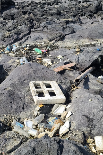 바닷가로 밀려와 쌓여있는 바다쓰레기