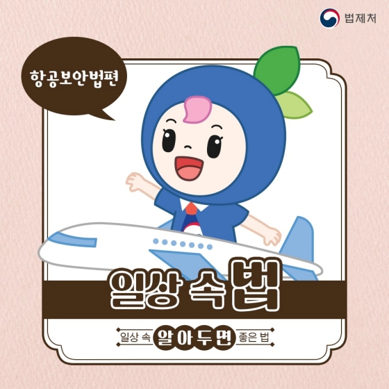 일상 속 알아두면 좋은 법 - 항공보안법