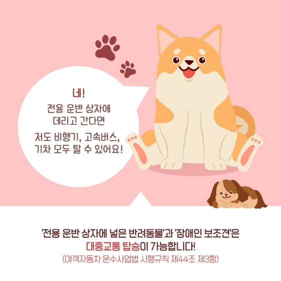 다가오는 추석, 반려동물과 대중교통 이용할 수 있나요?