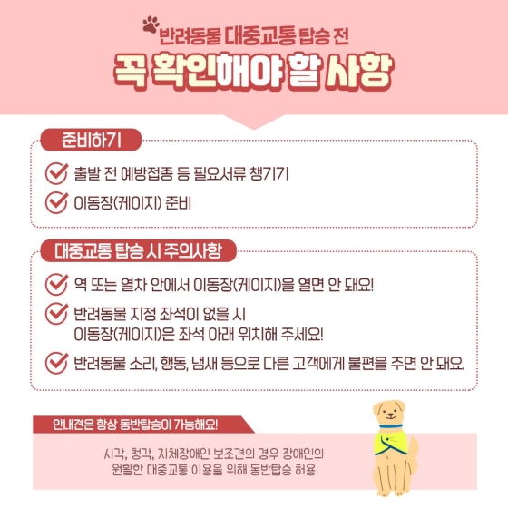 다가오는 추석, 반려동물과 대중교통 이용할 수 있나요?