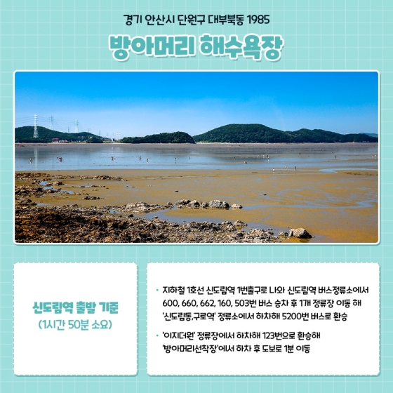 버스·지하철로 갈 수 있는 수도권 해수욕장 6