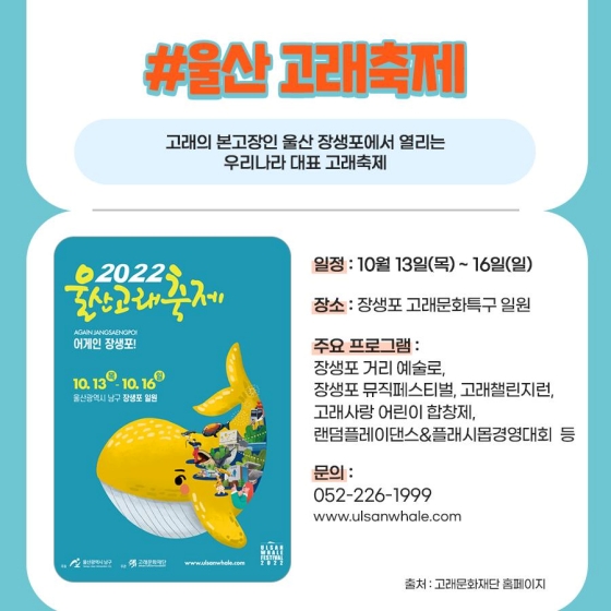 가을 바다 보고 축제도 즐기고! 9~10월 즐길만한 바다 축제 5