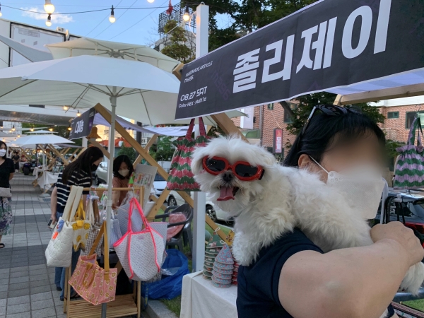 ‘마켓396’이 열리고 있는 ‘근화동396 청년창업공간’의 모습이다. 패브릭 제품을 판매하는 마켓인 ‘졸리제이’ 부스 앞에서 환하게 웃고 있는 강아지도 보인다.
