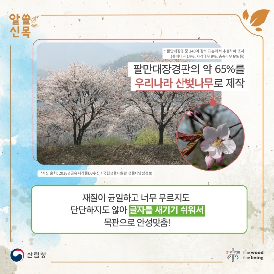 팔만대장경 760년 보존의 비밀