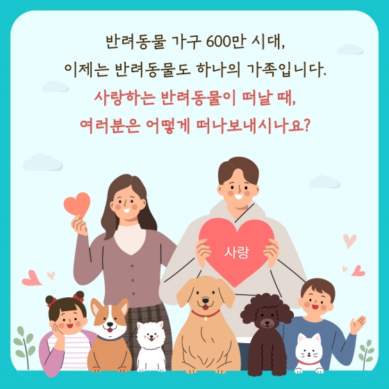 [옴부즈만 규제망치] 반려동물 장례, 이제 ‘친환경’ 수분해장 가능