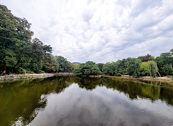 창경궁 춘당지. 어느 드라마 속 연못에 비친 얼굴로 알아보는 옛 이야기가 떠올랐다.