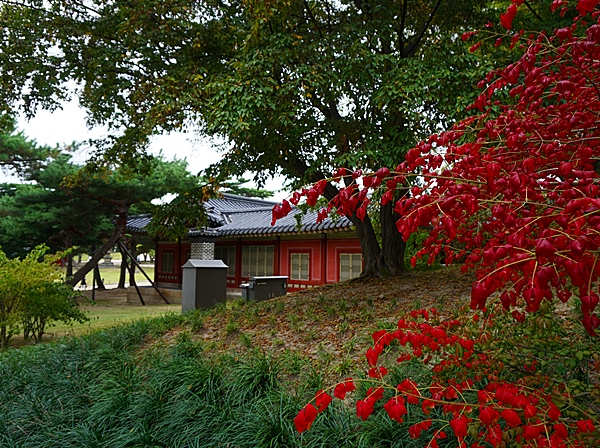 울긋불긋 벌써 가을이 성큼 왔다.