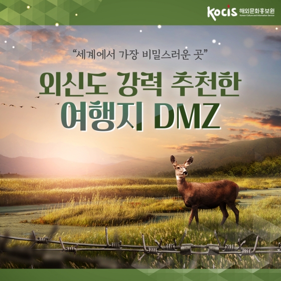 “세계에서 가장 비밀스러운 곳” 외신도 강력 추천한 여행지 DMZ