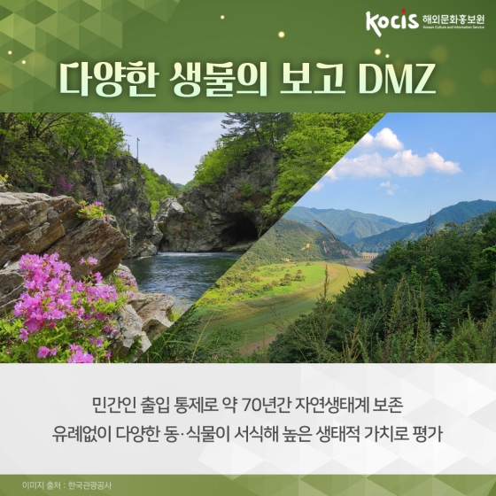 “세계에서 가장 비밀스러운 곳” 외신도 강력 추천한 여행지 DMZ