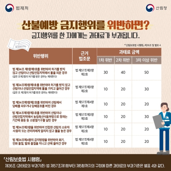 [일상 속 법] 산림보호법