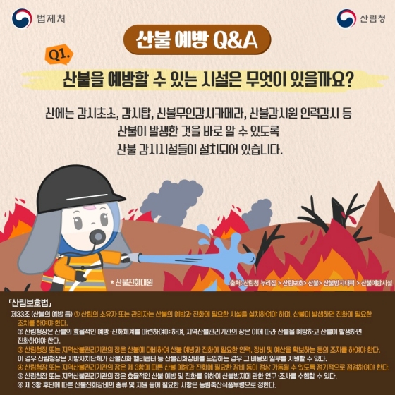 [일상 속 법] 산림보호법