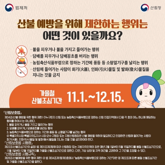 [일상 속 법] 산림보호법