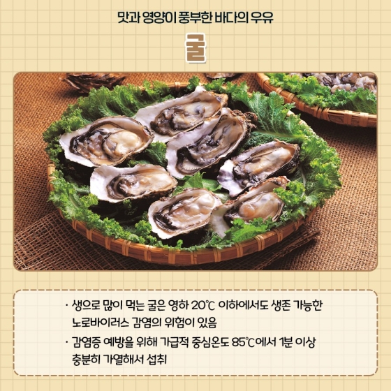 겨울 제철 수산물 안전하게 먹는 방법