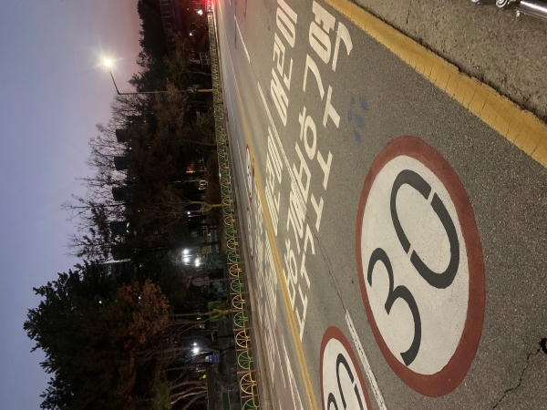 '성림초등학교' 앞 4차선 도로. 바닥에는 어린이 보호구역임을 알리는 문구와 시속 30km 제한속도 표지판이 적혀있다.