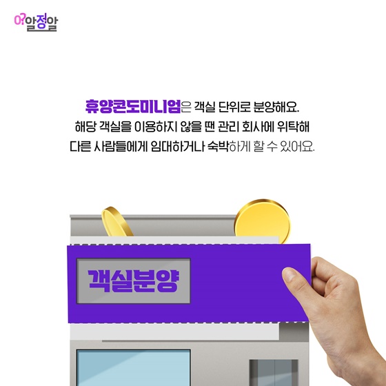 호텔 콘도 리조트 뭐가 다르지?