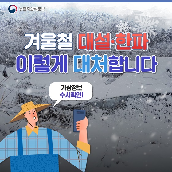 겨울철 대설·한파 이렇게 대처하세요! - 전체 | 카드/한컷 | 멀티미디어 | 대한민국 정책브리핑