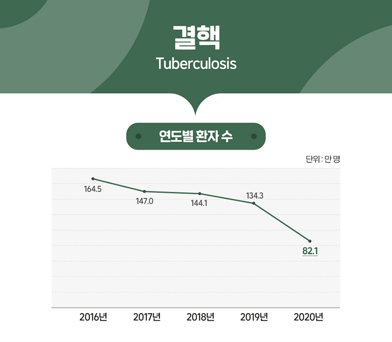 결핵 통계 그래프