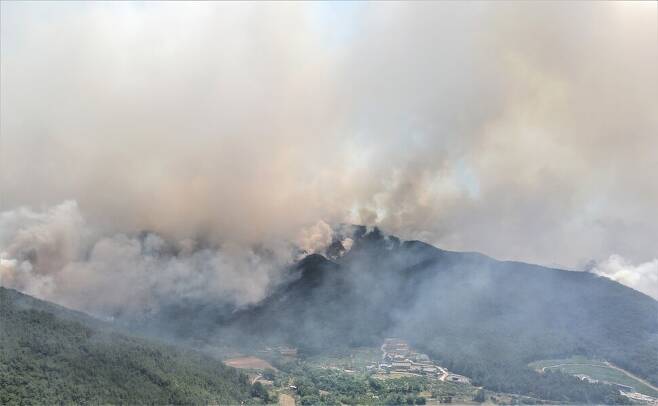 지난해 5월 경남 밀양시 옥교산에서 발생한 산불로 축구장 약 1000개의 면적이 불에 타버렸다. (사진=경남소방본부 제공)