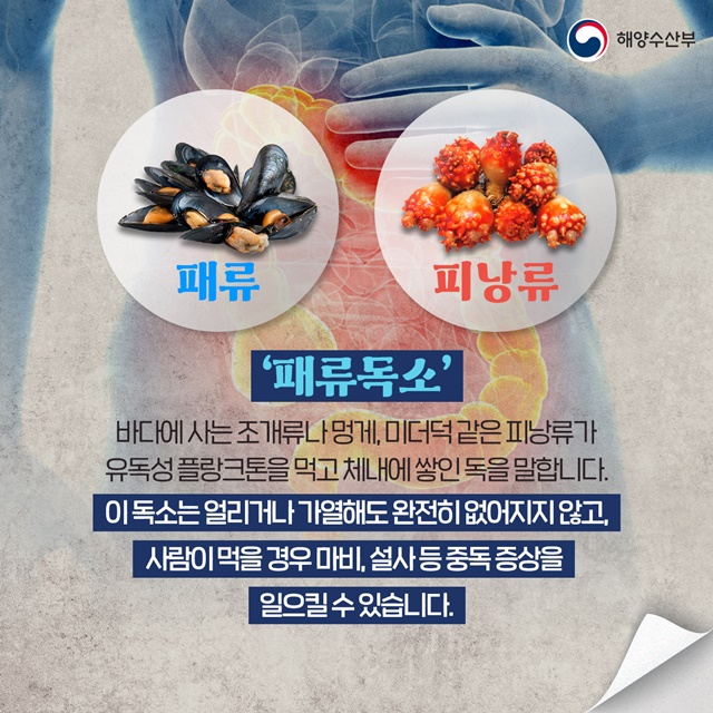“홍합·바지락 등 봄철 수산물, 모르고 먹으면 탈나요” 사진 3
