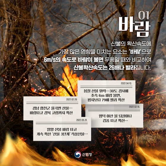 [산불 제대로 알기] ① 산불 확산에 영향을 미치는 요소들 - 전체 | 카드/한컷 | 멀티미디어 | 대한민국 정책브리핑