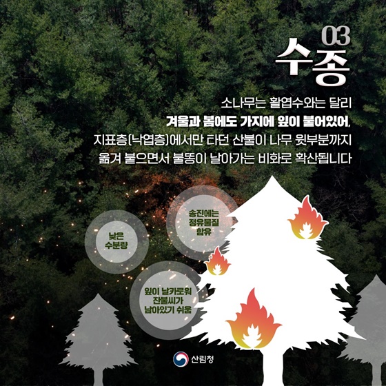 [산불 제대로 알기] ① 산불 확산에 영향을 미치는 요소들 - 정책뉴스 | 뉴스 | 대한민국 정책브리핑