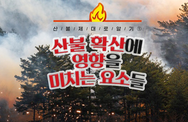 [산불 제대로 알기] ① 산불 확산에 영향을 미치는 요소들