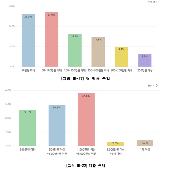 2019년 청소년 부모의 월 평균 수입 및 대출 금액과 관련된 도표 (출처=2019 청소년 부모 생활실태 조사 및 개선방안 연구_아름다운 재단)