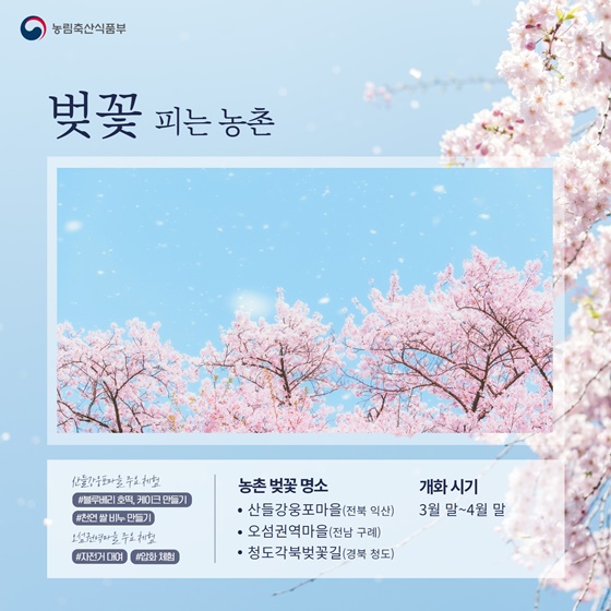“농촌으로 꽃구경 가자~”… 전국 봄꽃 명소