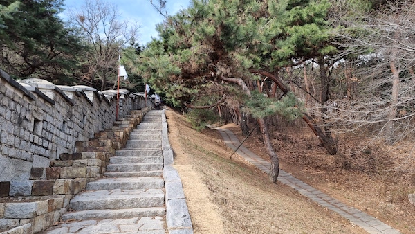 남문인 팔달문에서 팔달산의 꼭대기인 서장대까지 올라가는 길은 가파르고 힘든 구간입니다. 성곽의 단단한 매력을 엿볼 수 있었습니다.