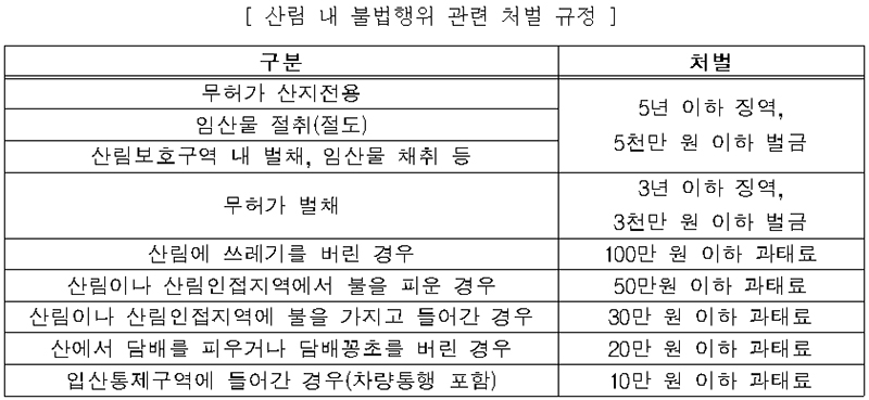 산림 내 불법행위 관련 처벌 규정.