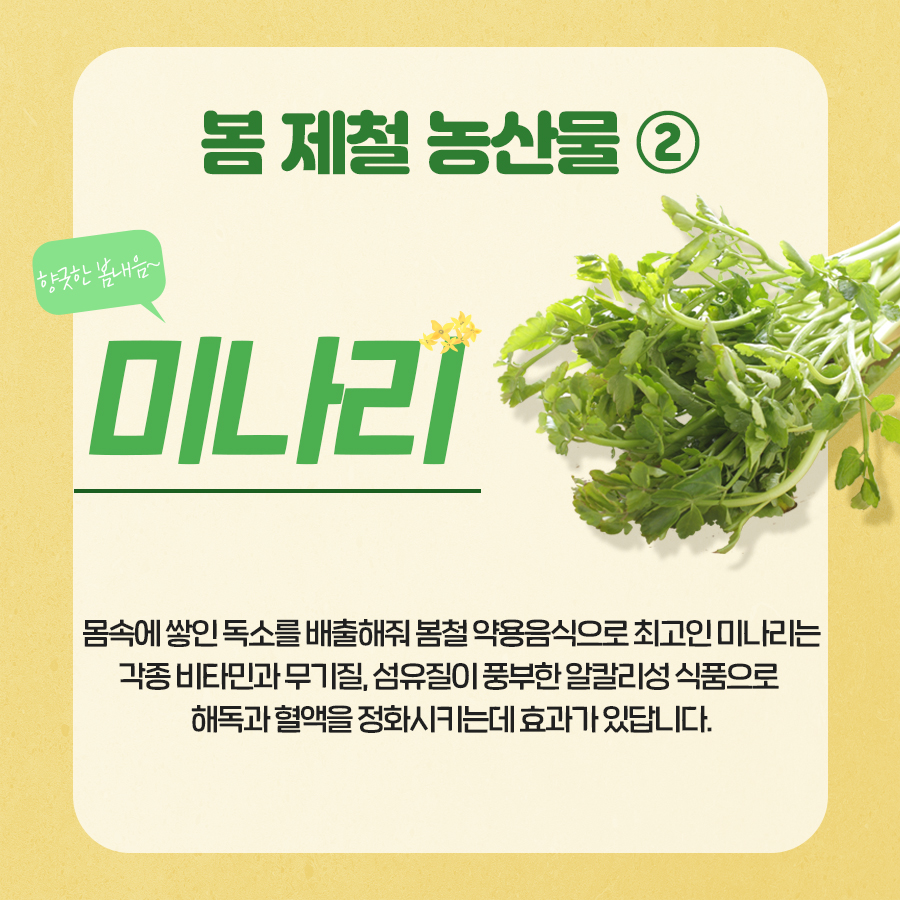 제철 나물과 해산물로 만드는 ‘제철밥상’ <봄>편